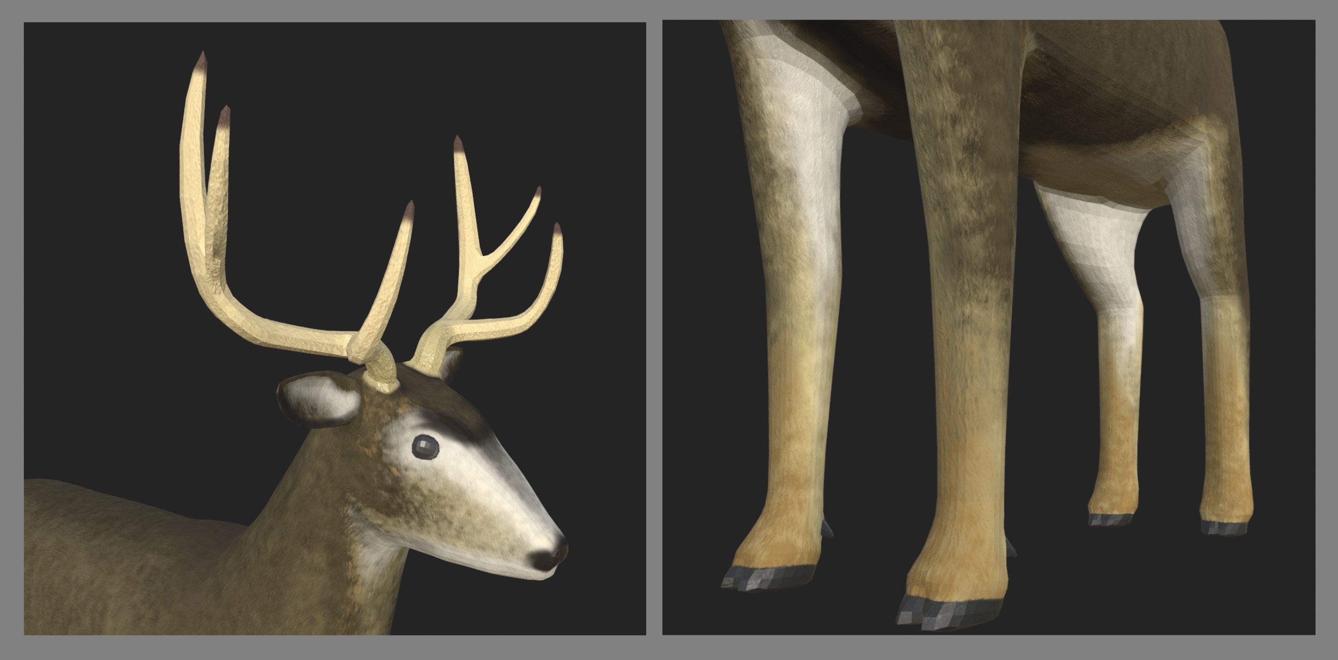 Close up images of the deer's face and legs/hooves