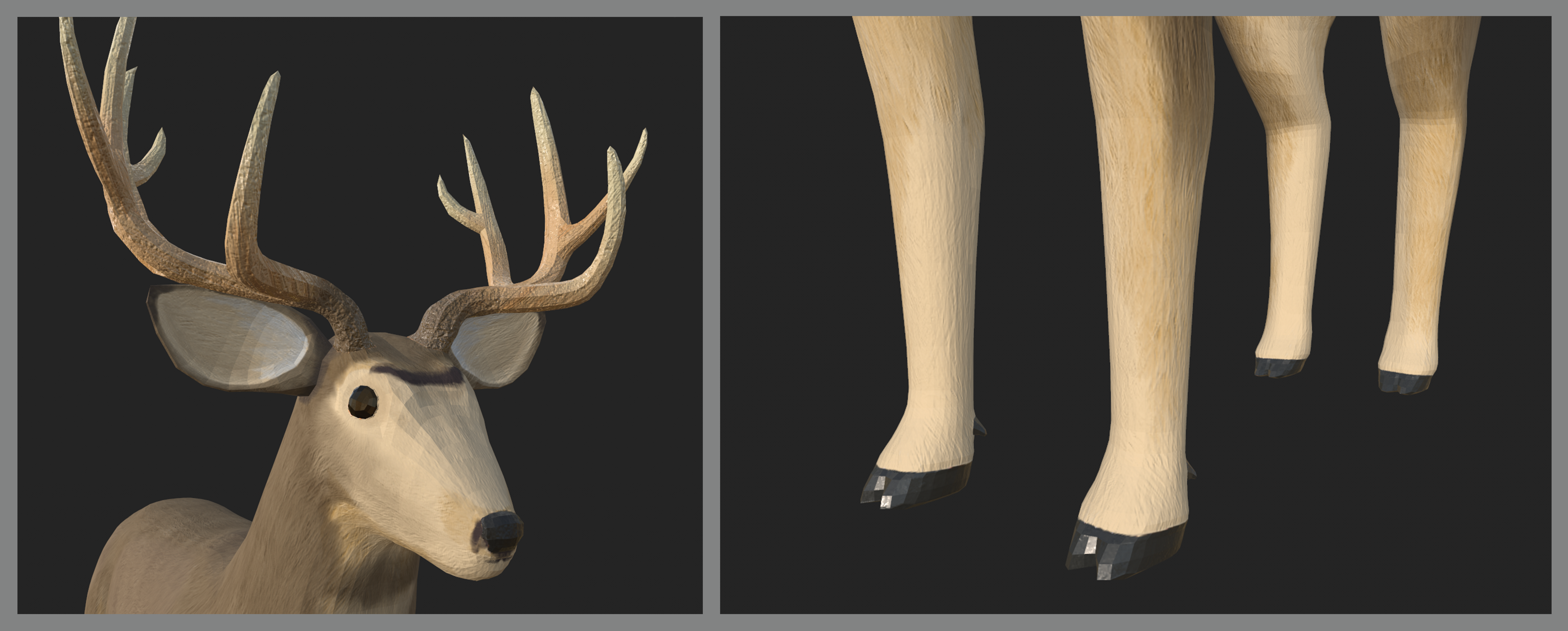 Close up images of the deer's face and legs/hooves