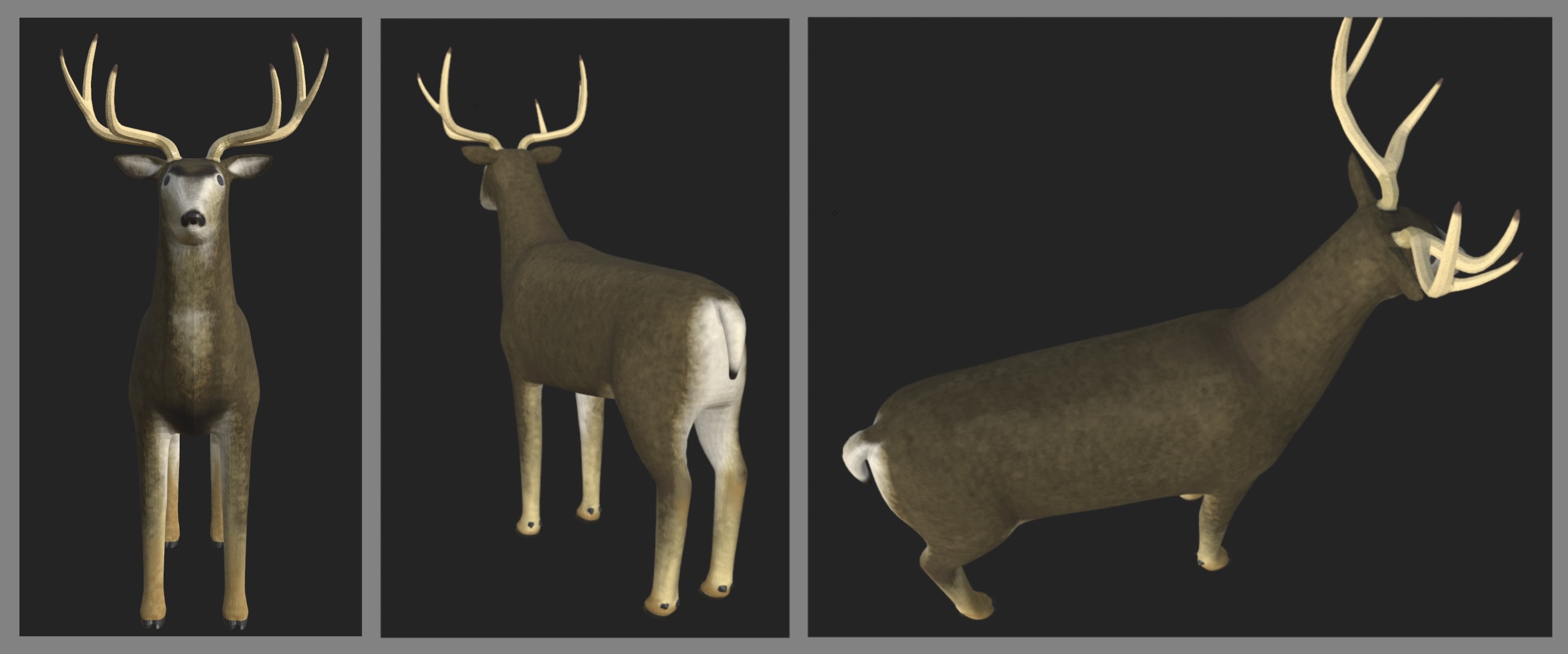 The full body of the textured deer from three difrent angles